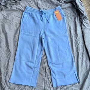 Girlfriend Collective Blue Sweatpants with Drawstring XL